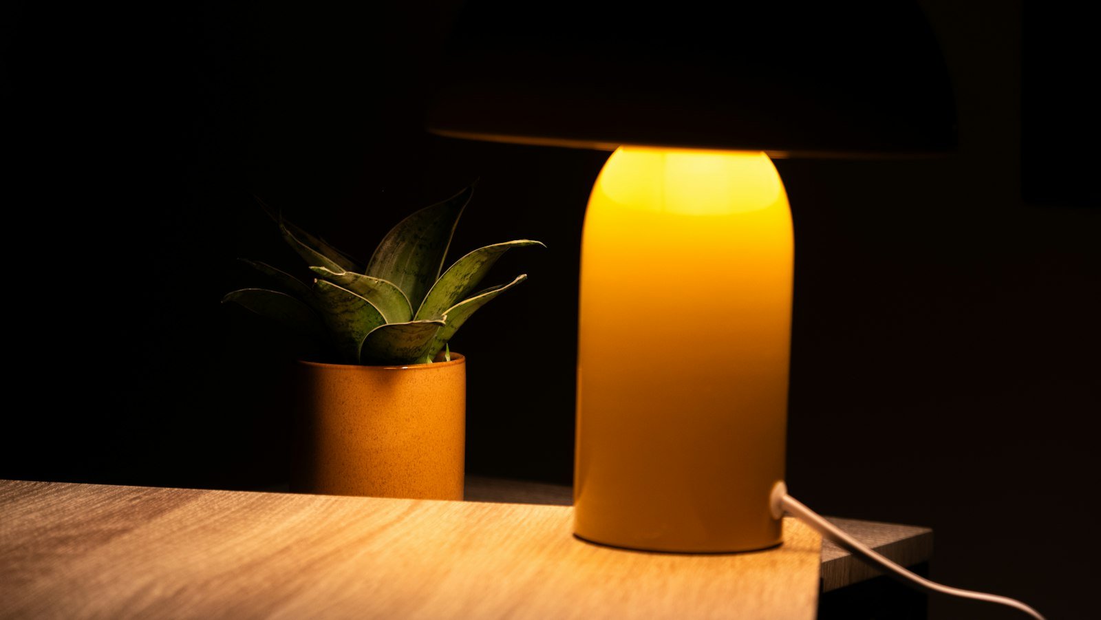 Lampe d’ambiance et plante sur un bureau