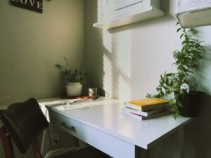 Bureau minimaliste avec une plante et un livre