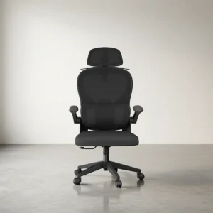 Chaises de bureau