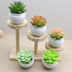 Mini plante grasse artificielle en pot blanc – vue 2 Mini plante grasse artificielle en pot blanc – vue 2