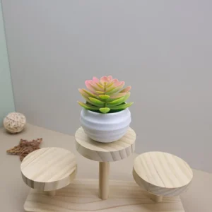 Mini plante grasse artificielle en pot blanc – vue 5 Mini plante grasse artificielle en pot blanc – vue 5