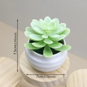 Mini plante grasse artificielle en pot blanc – Blanc Mini plante grasse artificielle en pot blanc – Blanc