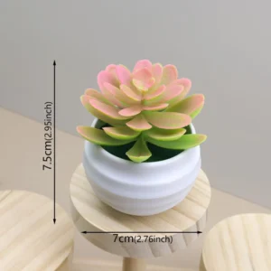 Mini plante grasse artificielle en pot blanc – Rose Mini plante grasse artificielle en pot blanc – Rose