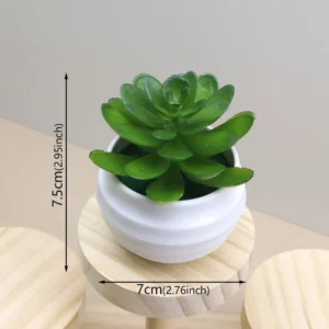 Mini plante grasse artificielle en pot blanc – Vert foncé Mini plante grasse artificielle en pot blanc – Vert foncé