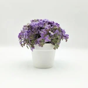 Mini pot de marguerites artificielles 15 cm – Violet