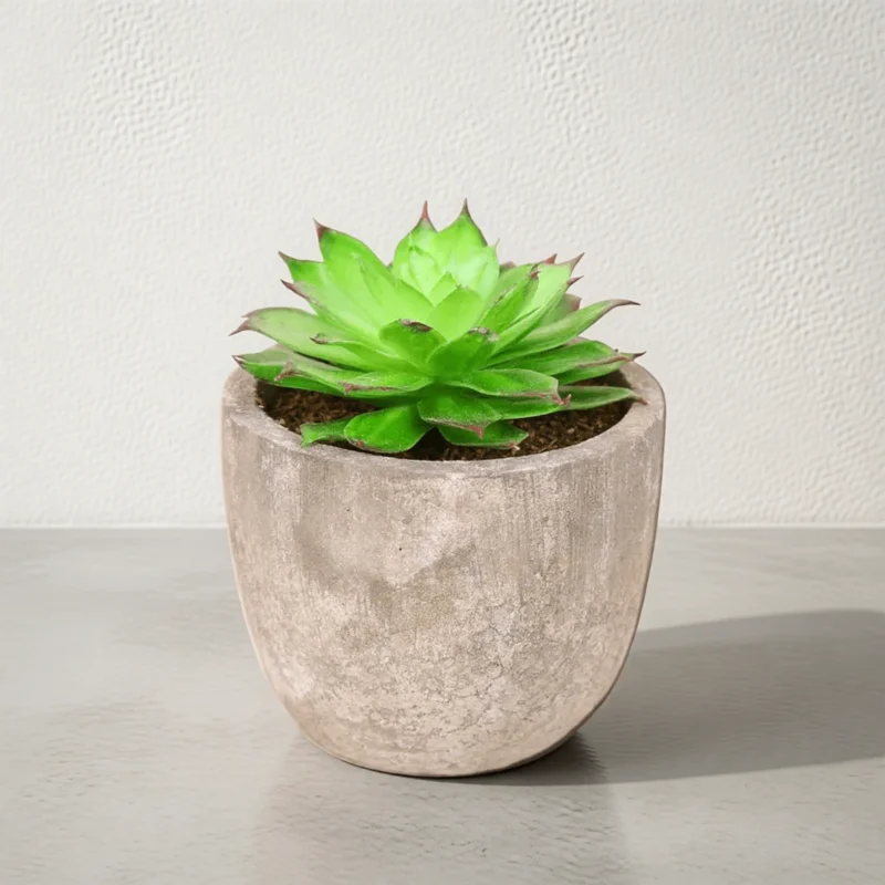 Mini succulente artificielle en pot – 12 modèles Mini succulente artificielle en pot – 12 modèles