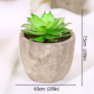 Mini succulente artificielle en pot – 12 modèles Mini succulente artificielle en pot – 12 modèles