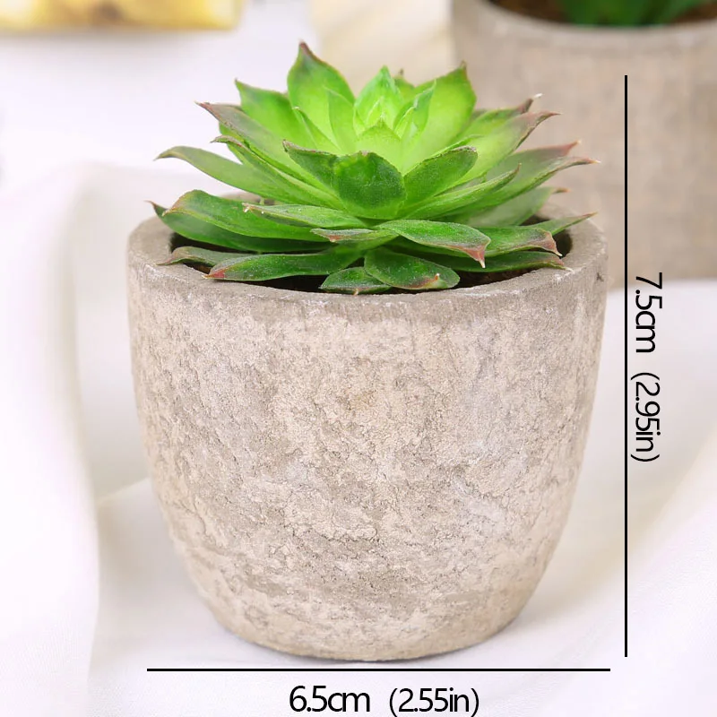 Mini succulente artificielle en pot – 12 modèles Mini succulente artificielle en pot – 12 modèles