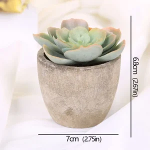 Mini succulente artificielle en pot – 12 modèles Mini succulente artificielle en pot – 12 modèles