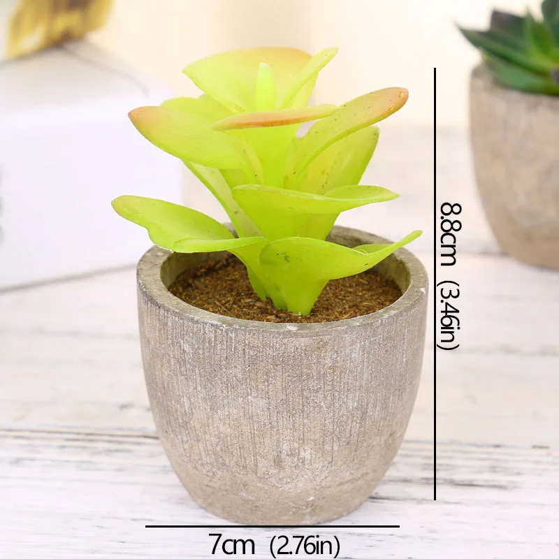Mini succulente artificielle en pot – 12 modèles Mini succulente artificielle en pot – 12 modèles