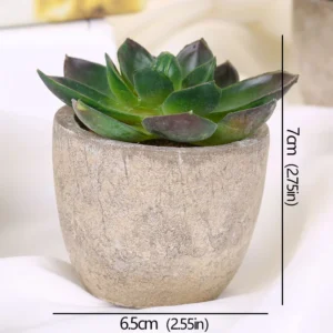 Mini succulente artificielle en pot – 12 modèles Mini succulente artificielle en pot – 12 modèles