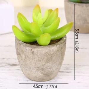 Mini succulente artificielle en pot – 12 modèles Mini succulente artificielle en pot – 12 modèles