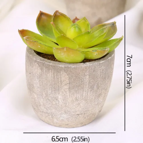 Mini succulente artificielle en pot – 12 modèles