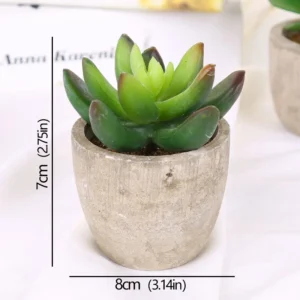 Mini succulente artificielle en pot – 12 modèles Mini succulente artificielle en pot – 12 modèles