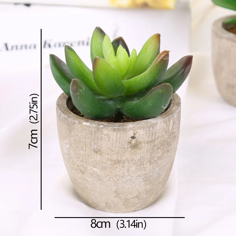 Mini succulente artificielle en pot – 12 modèles Mini succulente artificielle en pot – 12 modèles