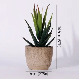 Mini succulente artificielle en pot – 12 modèles Mini succulente artificielle en pot – 12 modèles