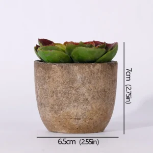 Mini succulente artificielle en pot – 12 modèles Mini succulente artificielle en pot – 12 modèles