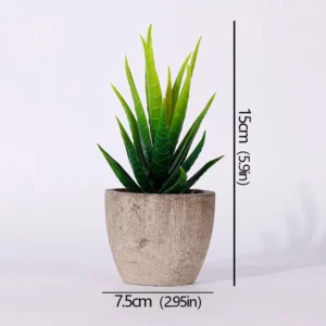 Mini succulente artificielle en pot – 12 modèles Mini succulente artificielle en pot – 12 modèles