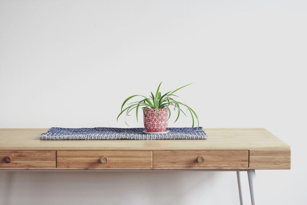 Plante verte posée sur un bureau en bois clair et épuré
