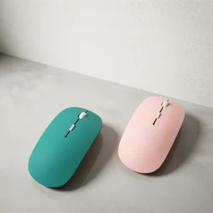 Souris